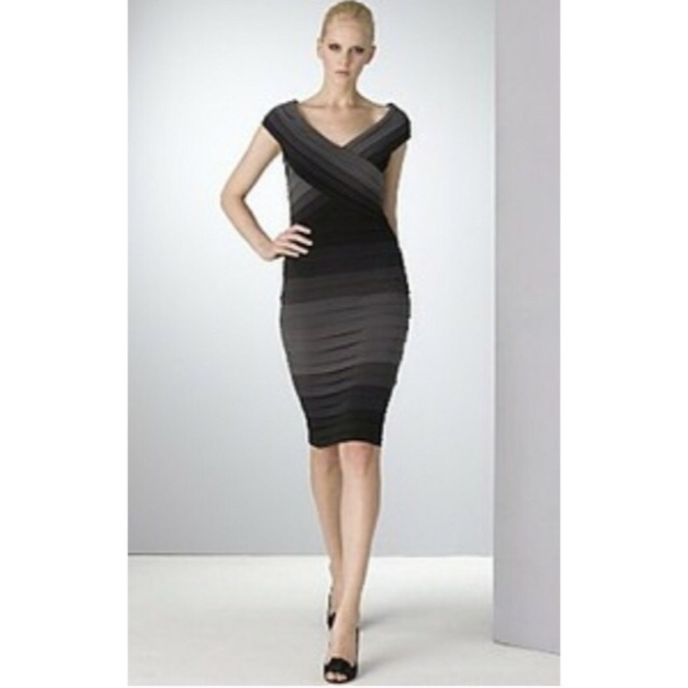 Tadashi Collection Dress!